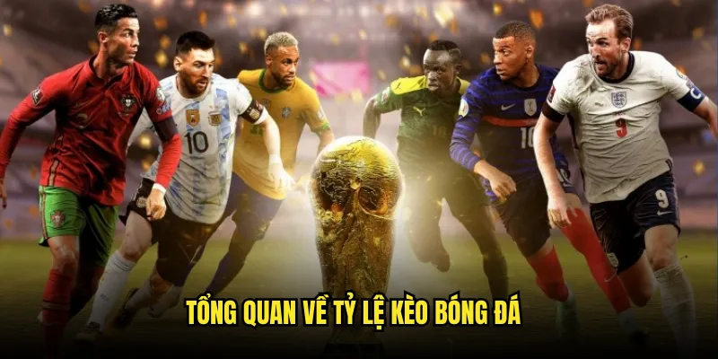 Bóng đá Tỷ lệ kèo: Sân Chơi Đẳng Cấp Cho Dân Cược 2 Tổng Quan Về Tỷ lệ kèo Bóng Đá