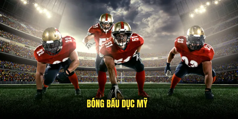 Bóng bầu dục Mỹ Tỷ lệ kèo: NFL Sôi Động 1 Bóng bầu dục Mỹ
