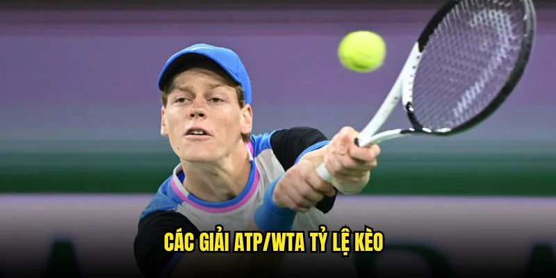 Quần vợt Tỷ lệ kèo: Đặt Cược Grand Slam 2 Các Giải ATP/WTA Tỷ lệ kèo