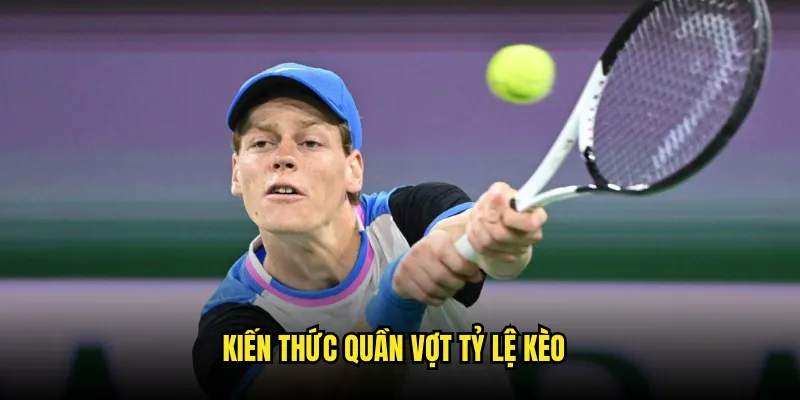Quần vợt Tỷ lệ kèo: Đặt Cược Grand Slam 3 Kiến Thức Quần vợt Tỷ lệ kèo