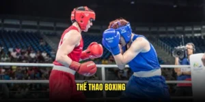 Thể thao Boxing