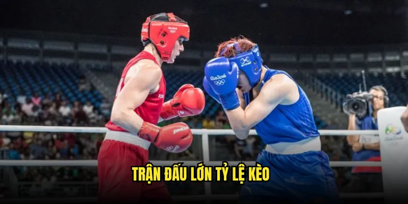 Thể thao Boxing Tỷ lệ kèo: Quyền Anh Đẳng Cấp 2 Trận Đấu Lớn Tỷ lệ kèo