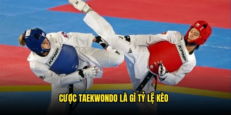 Taekwondo là gì Tỷ lệ kèo: Võ Thuật Olympic 3 Cược Taekwondo là gì Tỷ lệ kèo