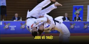 Judo võ thuật