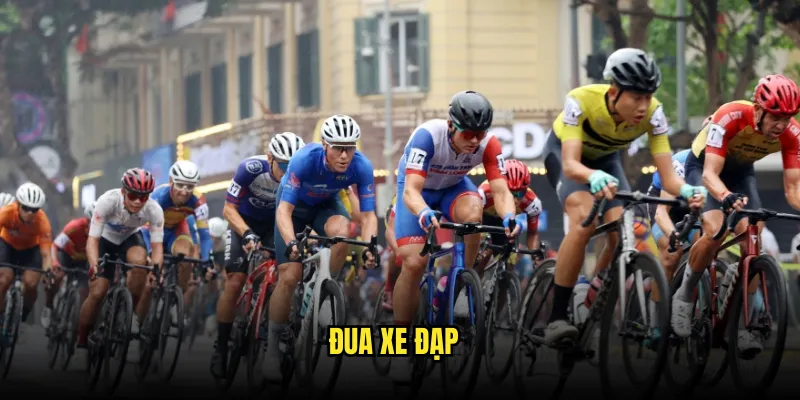 Đua xe đạp