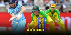 Cá cược Cricket