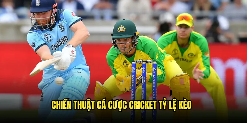 Cá cược Cricket Tỷ lệ kèo: Test Match Hấp Dẫn 3 Chiến Thuật Cá cược Cricket Tỷ lệ kèo