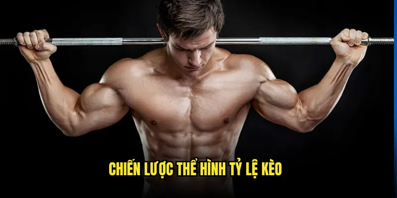 Thể hình Tỷ lệ kèo: Mr. Olympia Đỉnh Cao 3 Chiến Lược Thể hình Tỷ lệ kèo