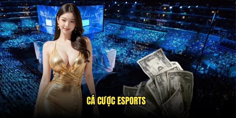 Cá cược Esports Tỷ lệ kèo: Gaming Chuyên Nghiệp 1 Cá cược Esports