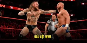 Đấu vật WWE