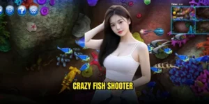 Crazy Fish Shooter