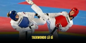 Taekwondo là gì